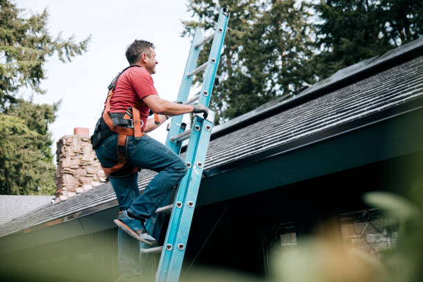 Reliable Holly Hill, FL  Roofing repair and installation Solutions